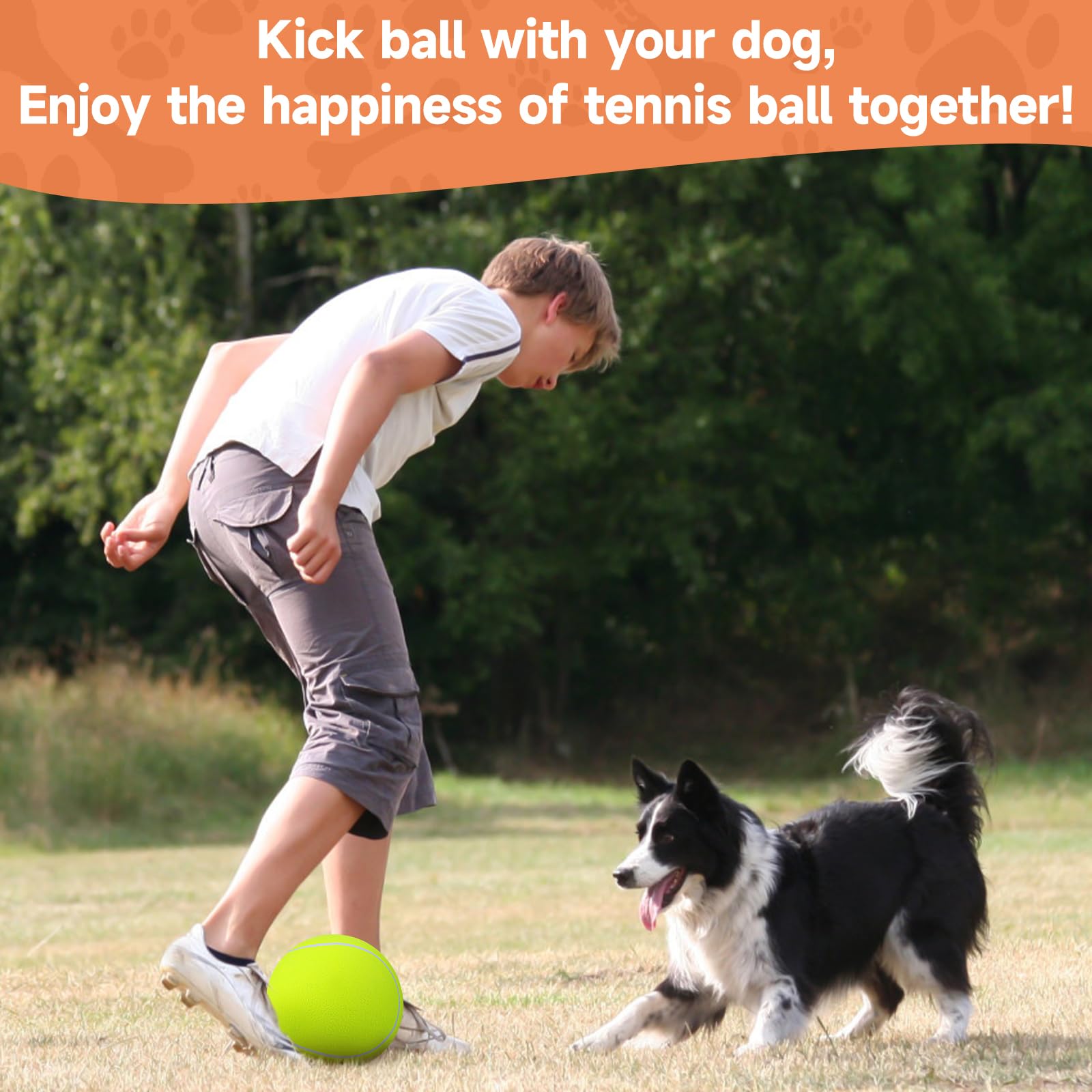 QDAN Tennis Ball for Dogs - Durable 6 Inch Yellow Dog Toy for Small Puppies, Outdoor Play & Fetch Games - Perfect for Training, Birthday Gifts & Backyard Fun