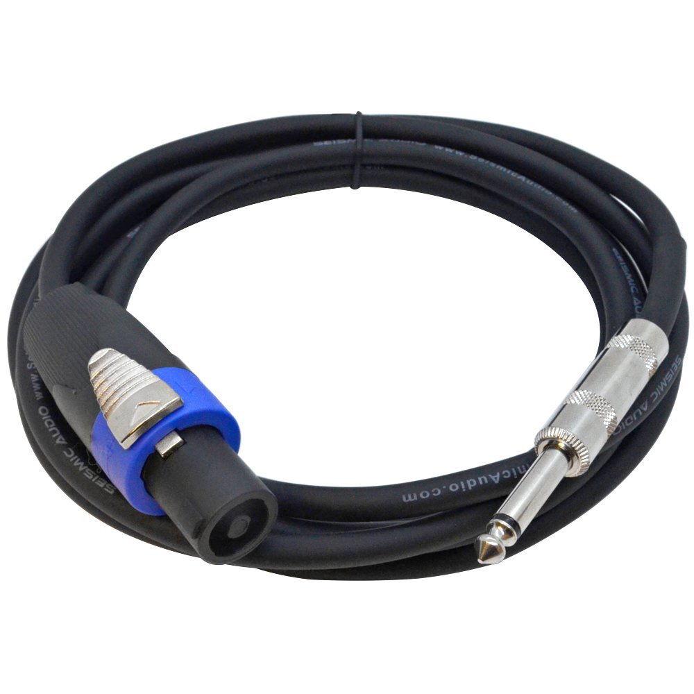 Seismic Audio SA16SQ10 10ft Speakon to 1/4 Inch TS Speaker Cable - 16 AWG Oxygen-Free Copper Conductors, Professional Grade Audio Cable for PA Systems, DJ Equipment, and Live Sound Performances