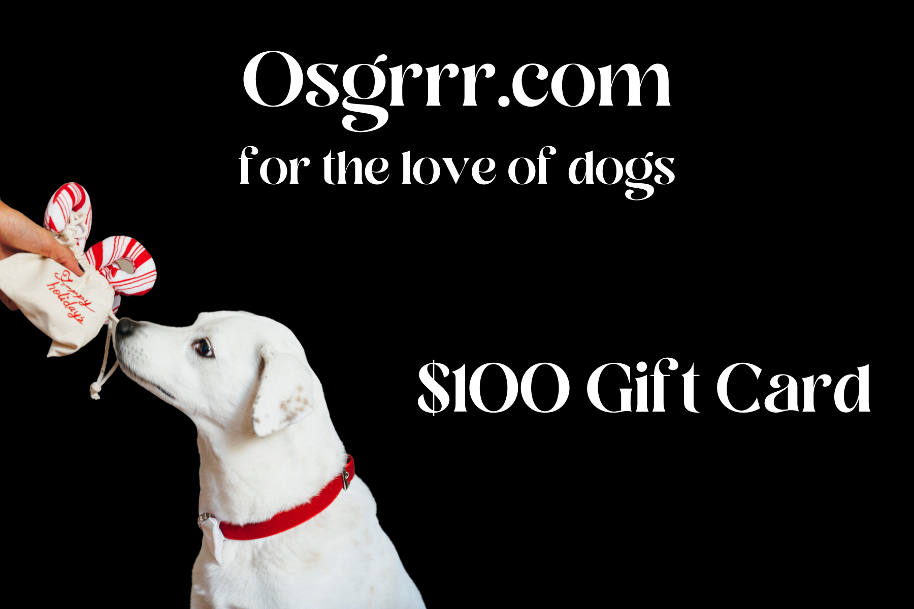 Osgrrr E Gift Card - Perfect Digital Gift for Birthdays, Holidays & Special Occasions | Instant Delivery & Easy to Use