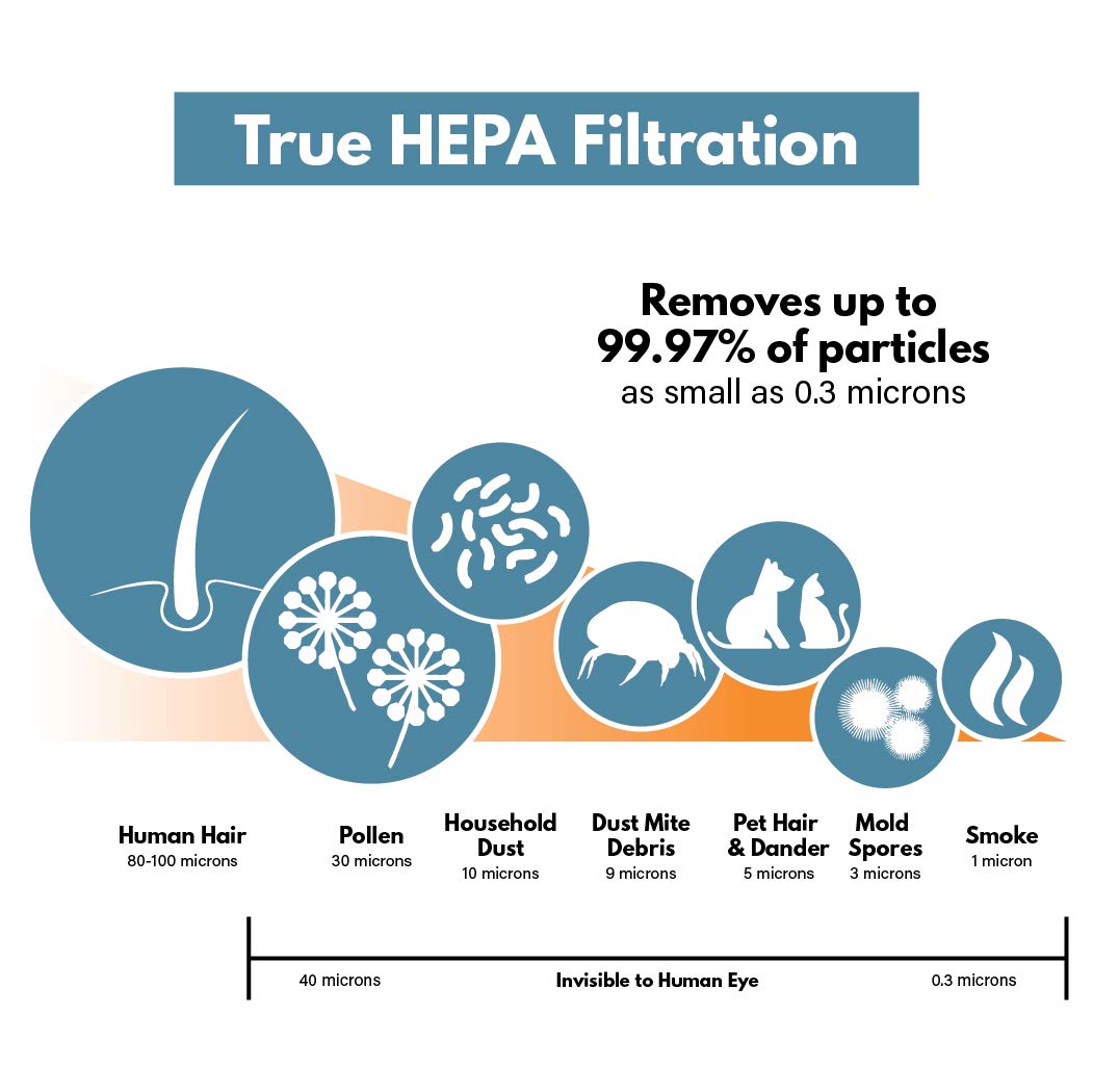 True HEPA Replacement Filter Compatible with Austin Air Healthmate Junior - Includes White Carbon Pre-Filter | Filter-Monster.com | Perfect for Home Air Purification & Allergy Relief