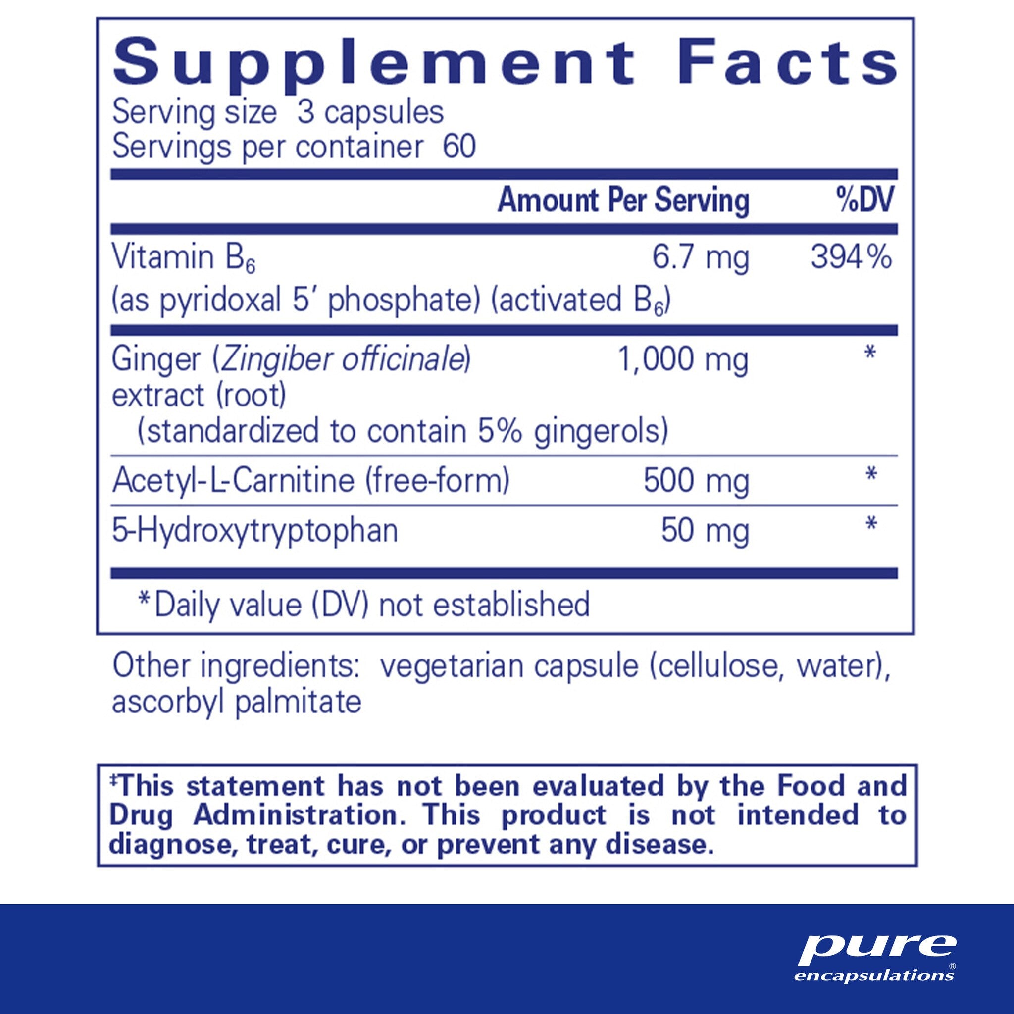 Pure Encapsulations MotilPro - Digestive Enzyme Supplement for Gut Health & Comfort | Supports Healthy Digestion & Bloating Relief | Ideal for Travel, Meals & Digestive Discomfort