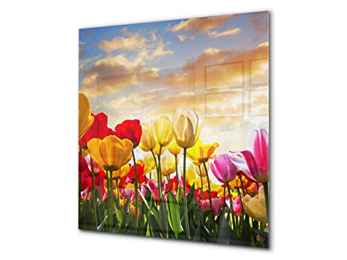 Meadow of Tulips