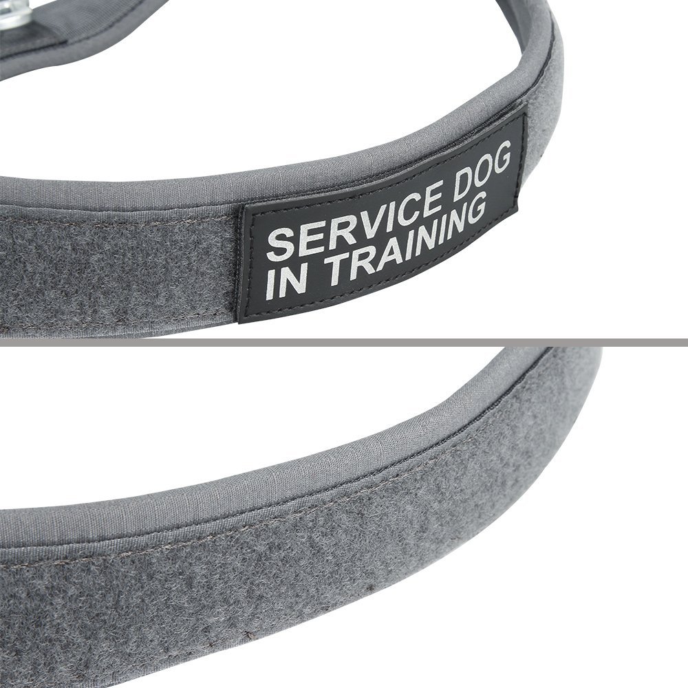 **XS Adjustable No-Pull Dog Harness for Small Puppies - Soft Padded Nylon Pet Collar for Training, Walking & Outdoor Adventures**