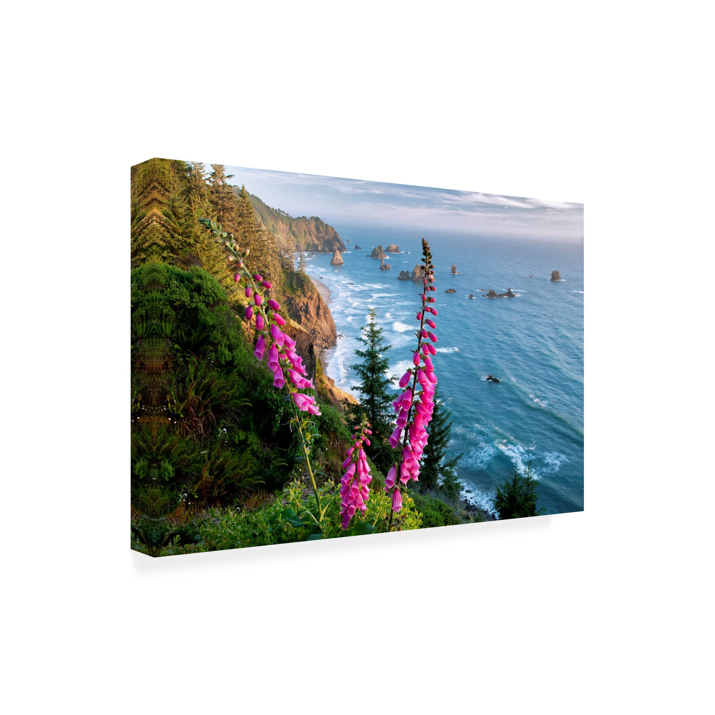 Trademark Fine Art 'Foxgloves' Canvas Wall Art by Dennis Frates - Floral Home Decor for Living Room, Bedroom & Office