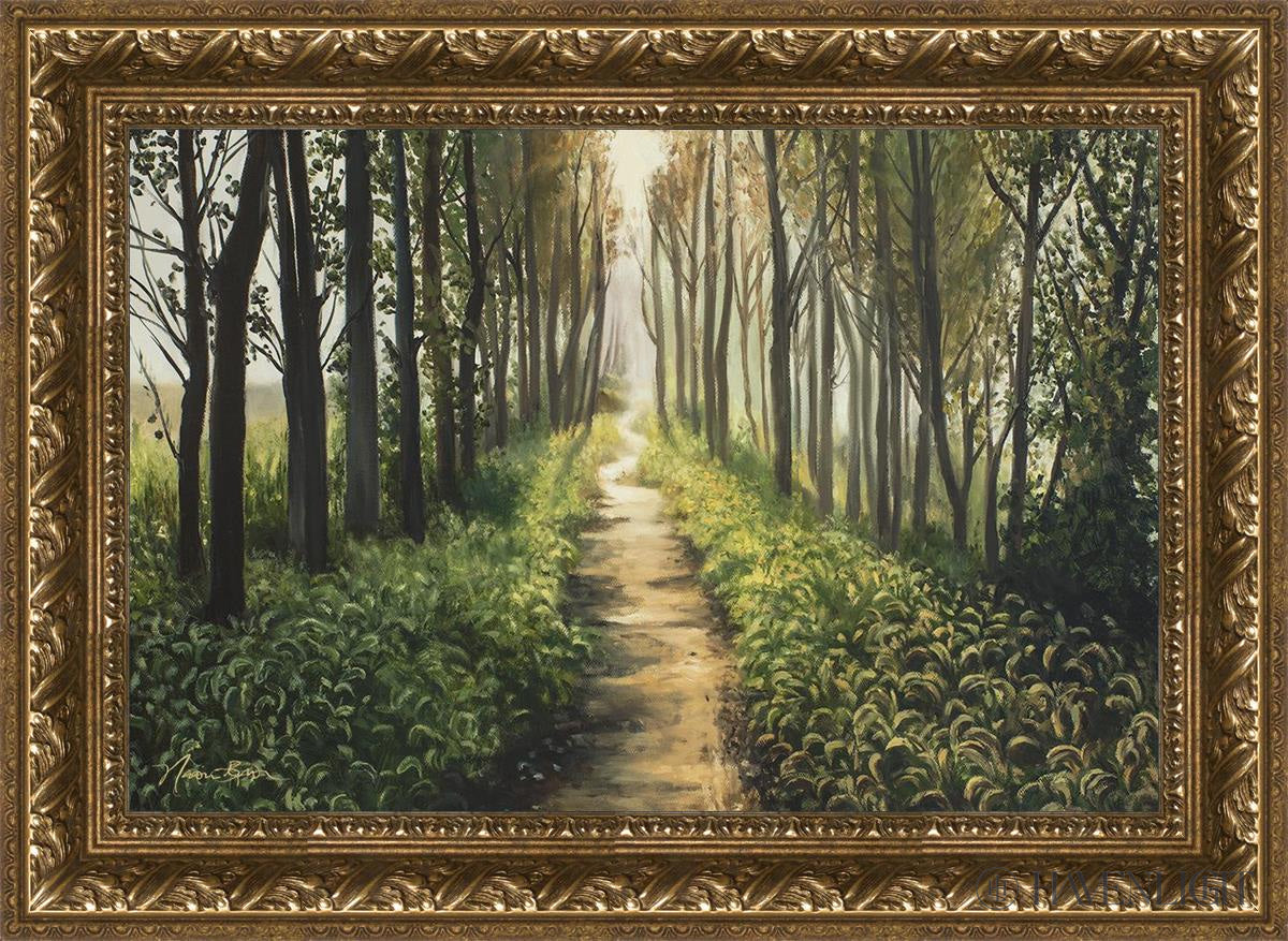 Forest Walkway - Beautiful Wooden Pathway for Gardens, Parks & Trails | Perfect for Outdoor Decor & Nature Walks