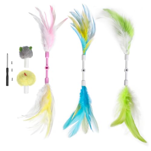 Replaceable Feathers