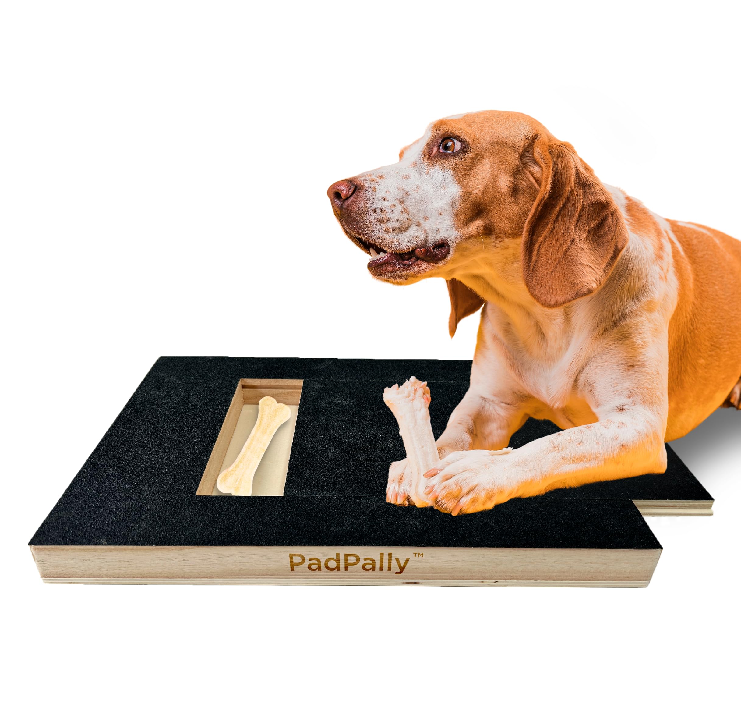 PadPally Dog Nail File Toy - Self-Scratching Board with Treat Box for Small & Large Dogs | Pet Nail Grinder & Scratch Pad for Grooming & Stress Relief - Perfect for Home, Travel & Vet Visits