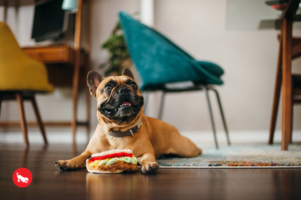 El Taco Dog Plush Toy - International Classic™ Chew-Resistant Squeaky Stuffed Animal for Pets | Perfect for Playtime, Training & Cuddling | Pet P.L.A.Y.