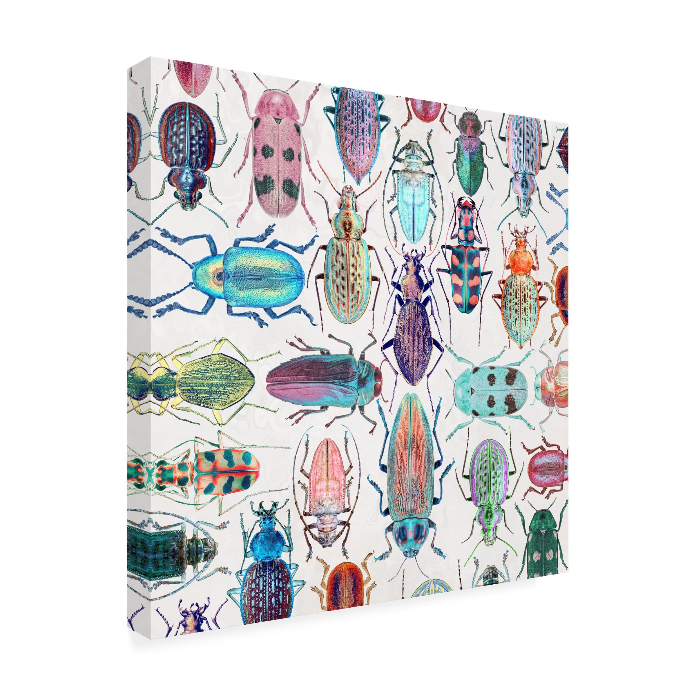 Beautiful Beetles Canvas Art Print by Cora Niele - Vibrant Insect Wall Decor for Living Room, Bedroom & Office - Trademark Fine Art Collection