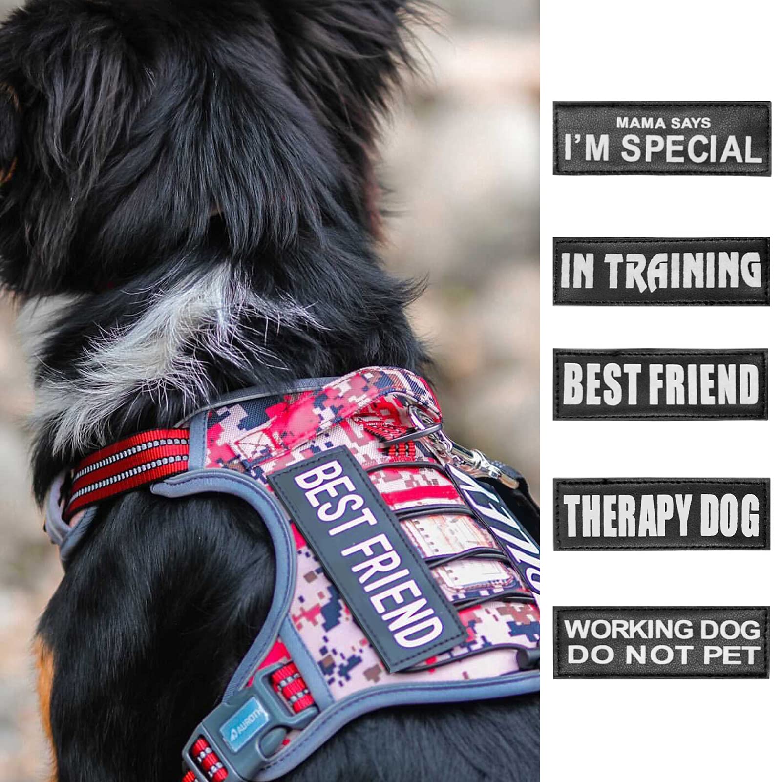 10 Pack Reflective & Removable Service Dog Patches - Auroth Training Vest Patches for Service Dogs | Perfect for Harnesses, Vests & Public Identification