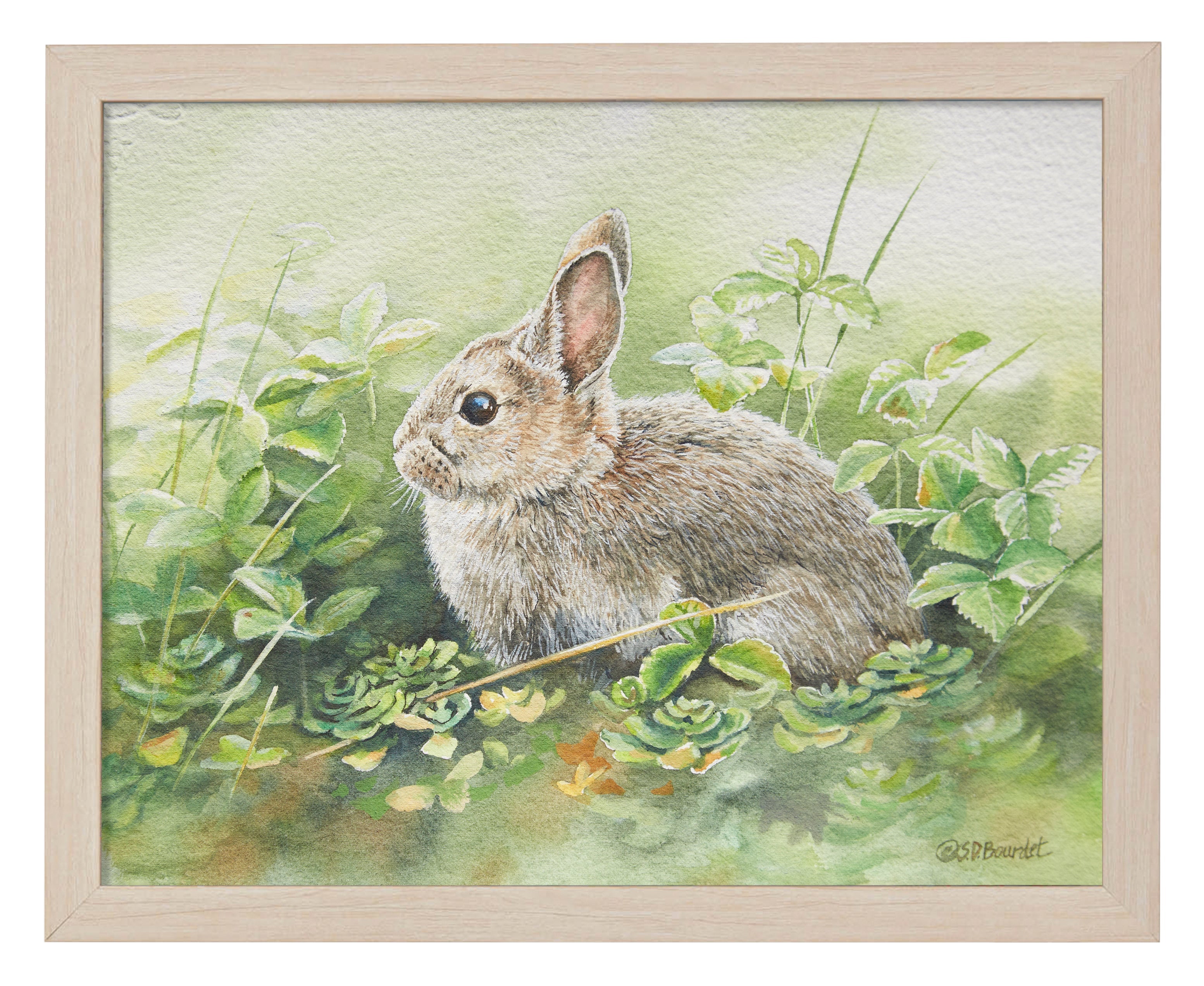 Cottontail Adventure Art Prints - Beautiful Rabbit Wall Decor for Nursery, Kids Room & Home - Perfect Gift for Animal Lovers