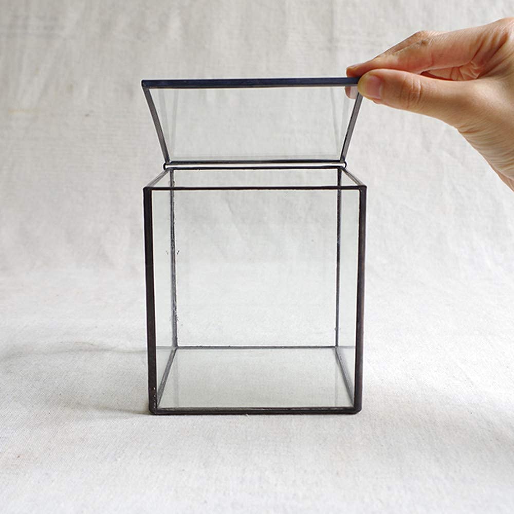 Square Glass Terrarium with Lid - 4.3x4.3x4.7 Inch Small Indoor Plant Box for Succulents, Moss & Air Plants - Handmade Geometric Tabletop Planter in Black - Perfect for Home Decor, Office Desk & Gift Ideas
