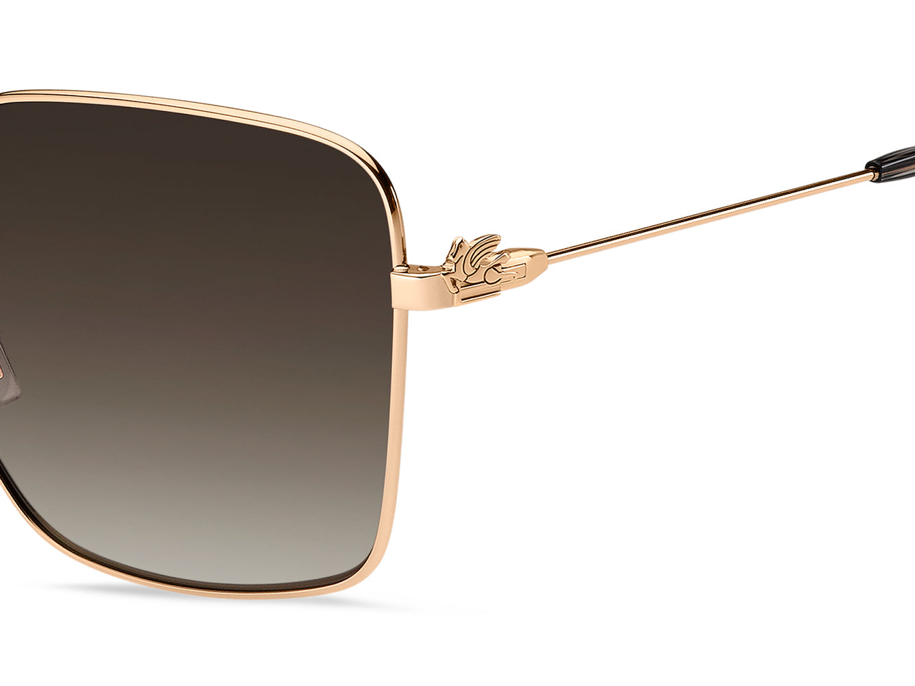 Etro 0061 F S Sunglasses - Luxury Designer Shades for Men & Women | UV Protection, Fashionable & Durable | Perfect for Outdoor Activities, Beach, Driving & Travel