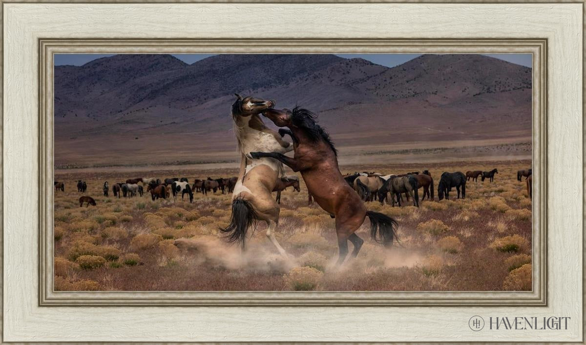 Desert Duel by Greg Sargent - Western Novel, Adventure & Action Book - Perfect for Fans of Cowboy Stories and Wild West Tales | Great for Reading on Road Trips, Camping & Relaxation