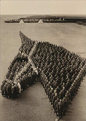 Avanti Military Officers Horse America Collection Encouragement Card - Motivational Greeting Card for Soldiers, Veterans & Military Supporters - Perfect for Deployment, Homecoming & Military Appreciation Gifts