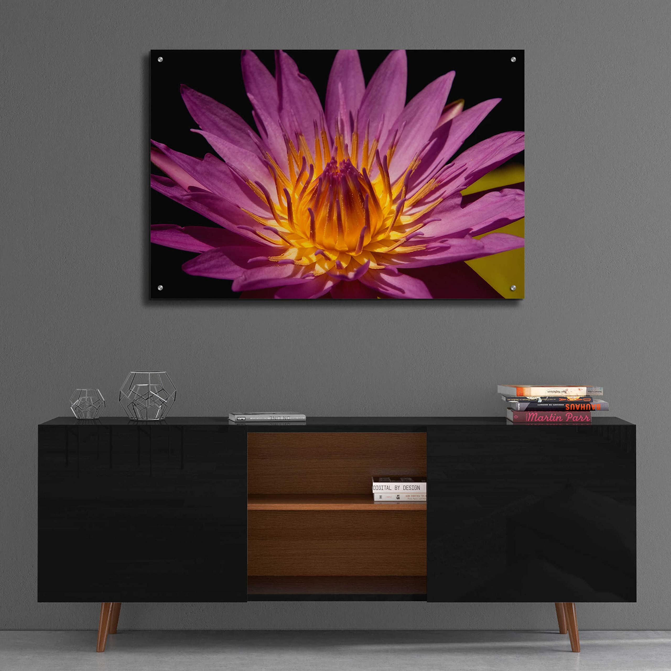 Mike Jones Fairchild Gardens Lily Acrylic Glass Wall Art - 36x24 Inches Modern Canvas Painting for Living Room, Bedroom & Office Decor