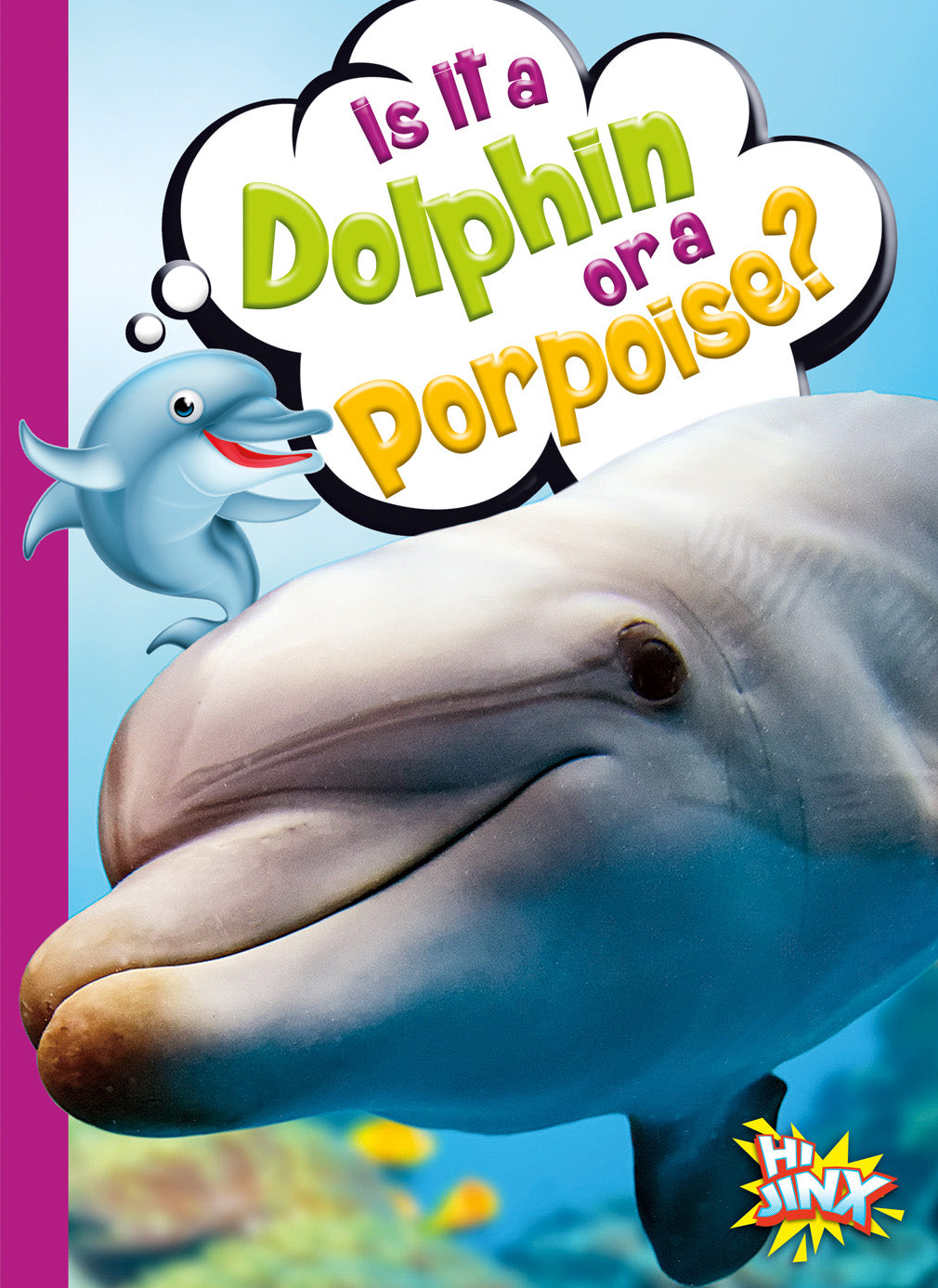Dolphin vs Porpoise: Key Differences and Identification Guide | Marine Wildlife Education