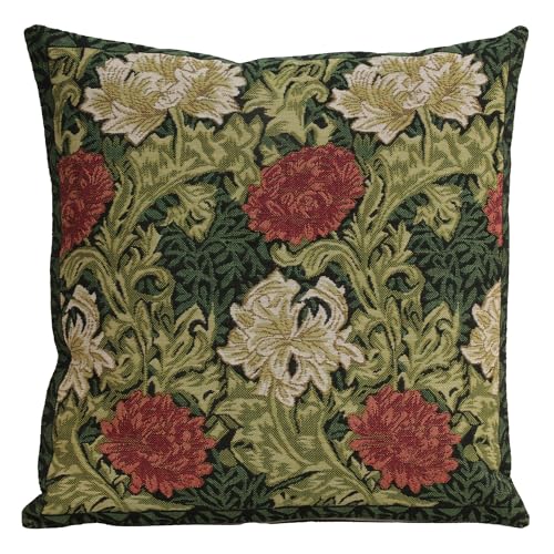 Chrysanthemum Multi