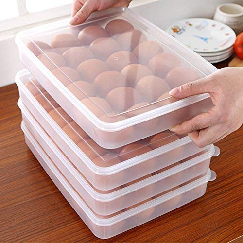 RAIYARAJ Plastic Egg Storage Container - 24 Grid Single Layer with Secure Lid | Refrigerator Organizer for Eggs | Perfect for Kitchen, Camping & Farm Fresh Egg Storage