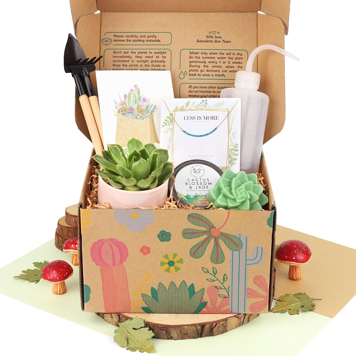 Premium Succulent & Air Plant Gift Box for Women - Personalized Plant Lover Gift Set - Unique Holiday & Birthday Present - Home Office Desk Decor & Housewarming Gift Idea