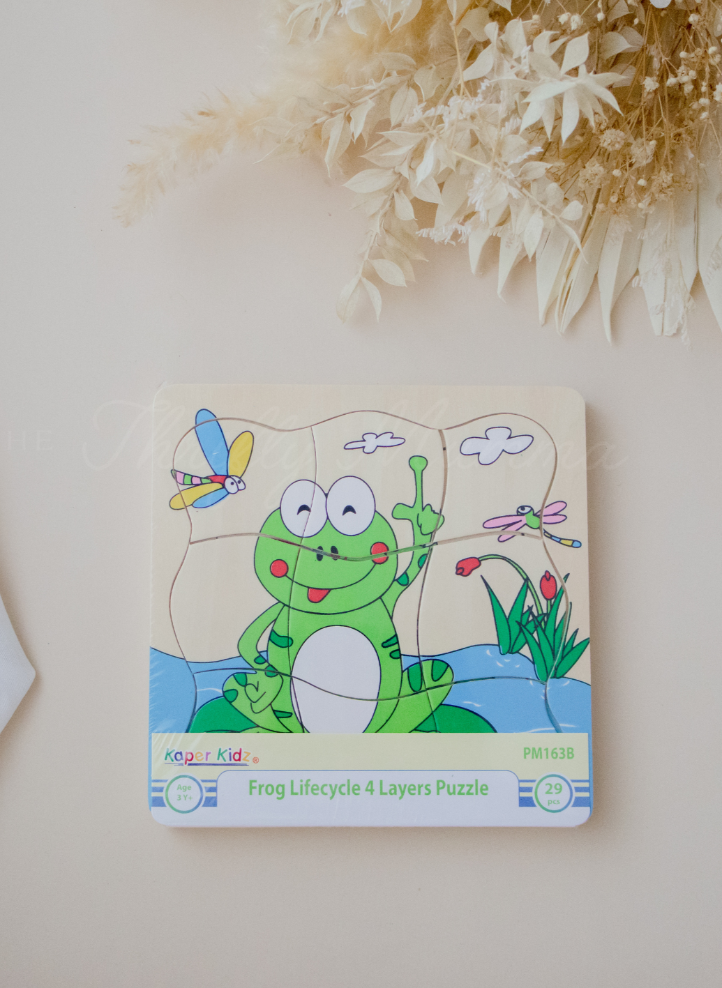 Timber Frog Life Cycle 4-Layer Wooden Puzzle - Educational Toy for Kids Learning Animal Development Stages - Perfect for Homeschooling & Classroom Science Activities