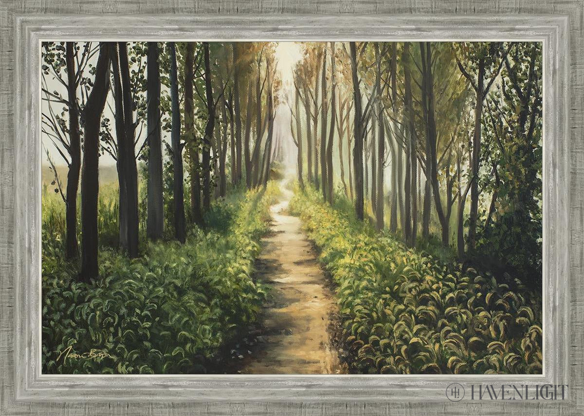 Forest Walkway - Beautiful Wooden Pathway for Gardens, Parks & Trails | Perfect for Outdoor Decor & Nature Walks