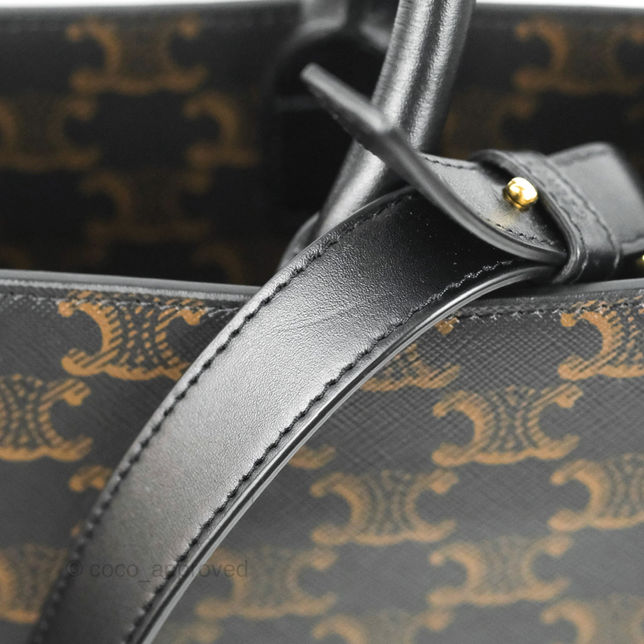 Celine Medium Cabas Vertical Tote Triomphe Bag - Luxury Leather Handbag for Women | Perfect for Work, Travel & Everyday Use
