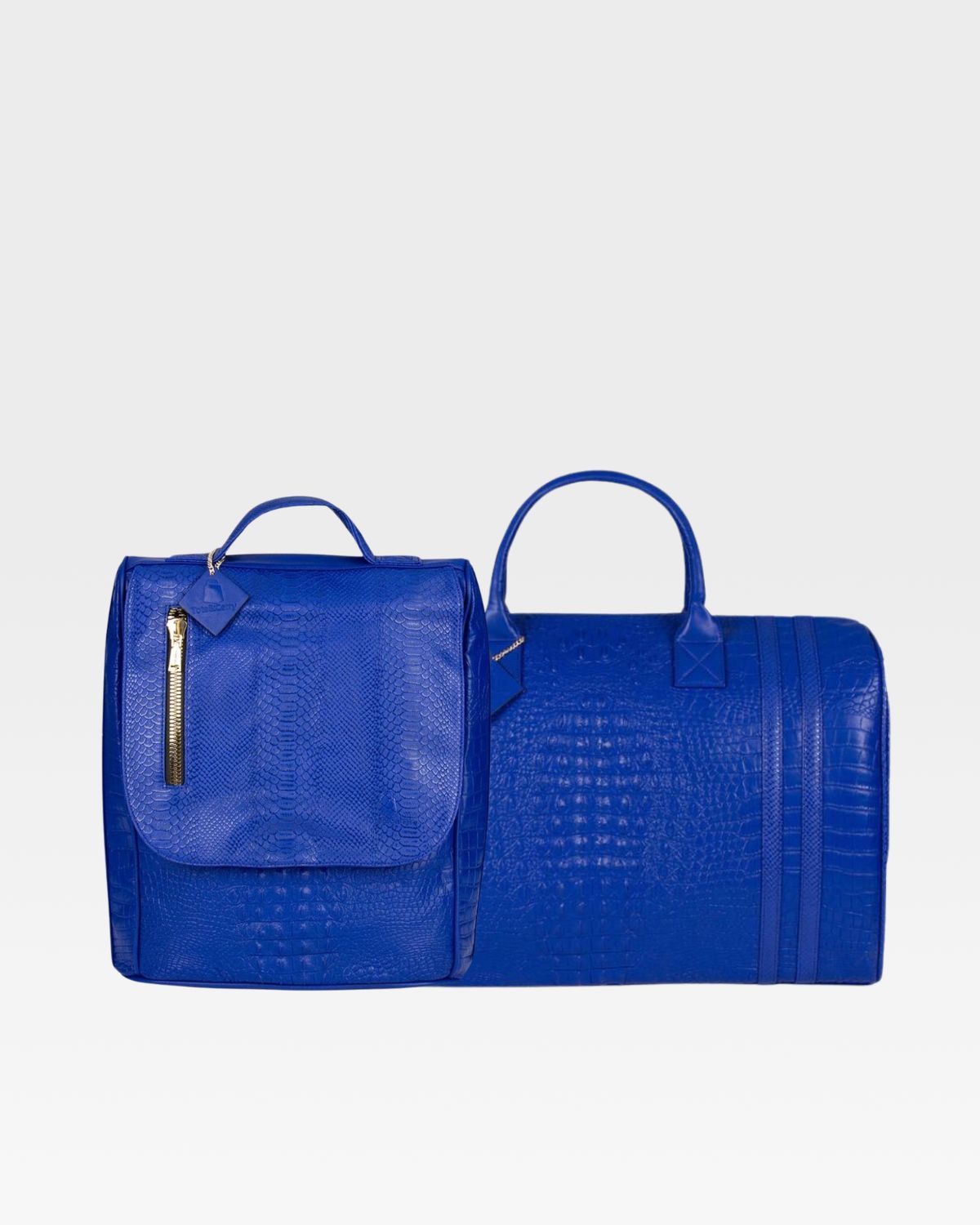Apollo 2 Premium Travel Set - 4-Piece Luggage Collection with TSA Lock (Carry-On, Check-In, Weekender & Toiletry Bag) - Perfect for Business Trips & Family Vacations