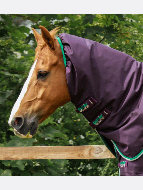 Premier Equine Buster 200g Turnout Rug with Neck Cover - Waterproof & Breathable Horse Blanket for Winter Turnout & Stable Use
