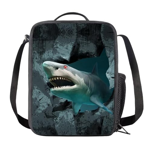 Shark