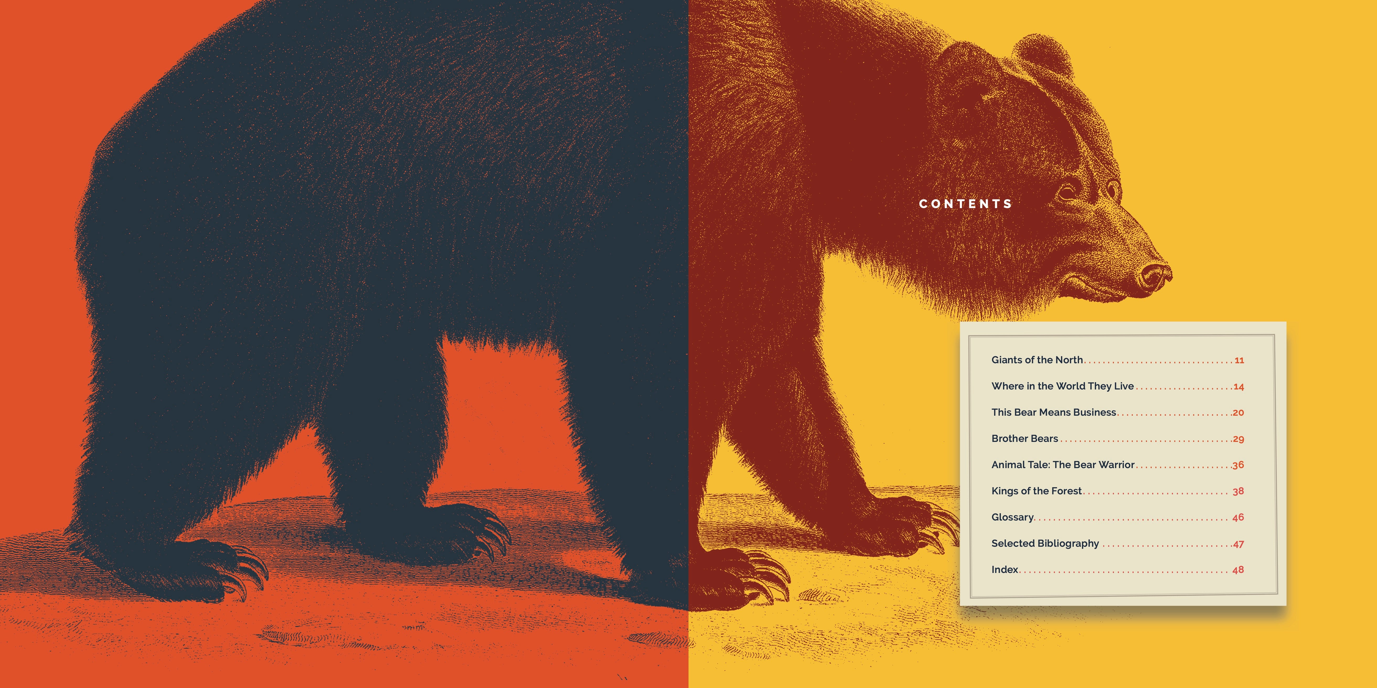 Brown Bears Book 9781640267756 - Wildlife Nature Guide for Kids & Adults - Perfect for Education, Gifts & Home Library