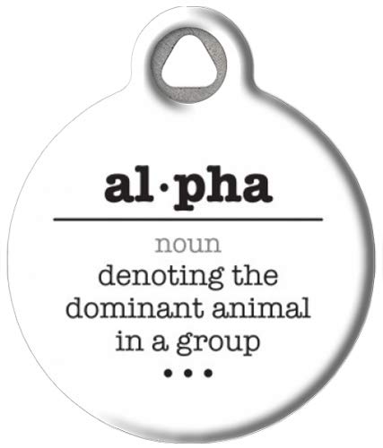 Alpha Word Definition Pet ID Tag for Dogs & Cats - Personalized Large Dog Tag Art - Engraved Pet Name & Contact Info - Perfect for Collars & Travel Safety