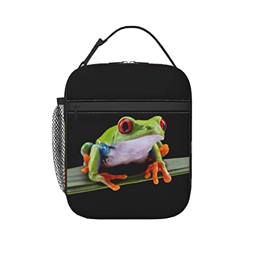 Cute Frog