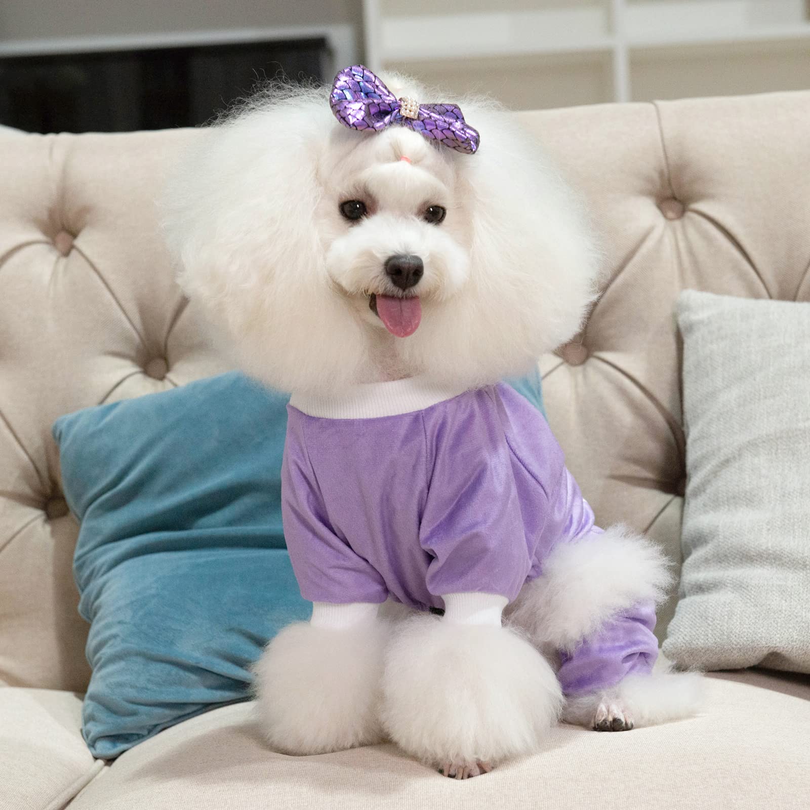 **CuteBone Trendy Letter Print Dog Pajamas - Soft & Comfortable Puppy PJS for Small Dogs (P246S) - Perfect for Indoor Sleep & Lounging**