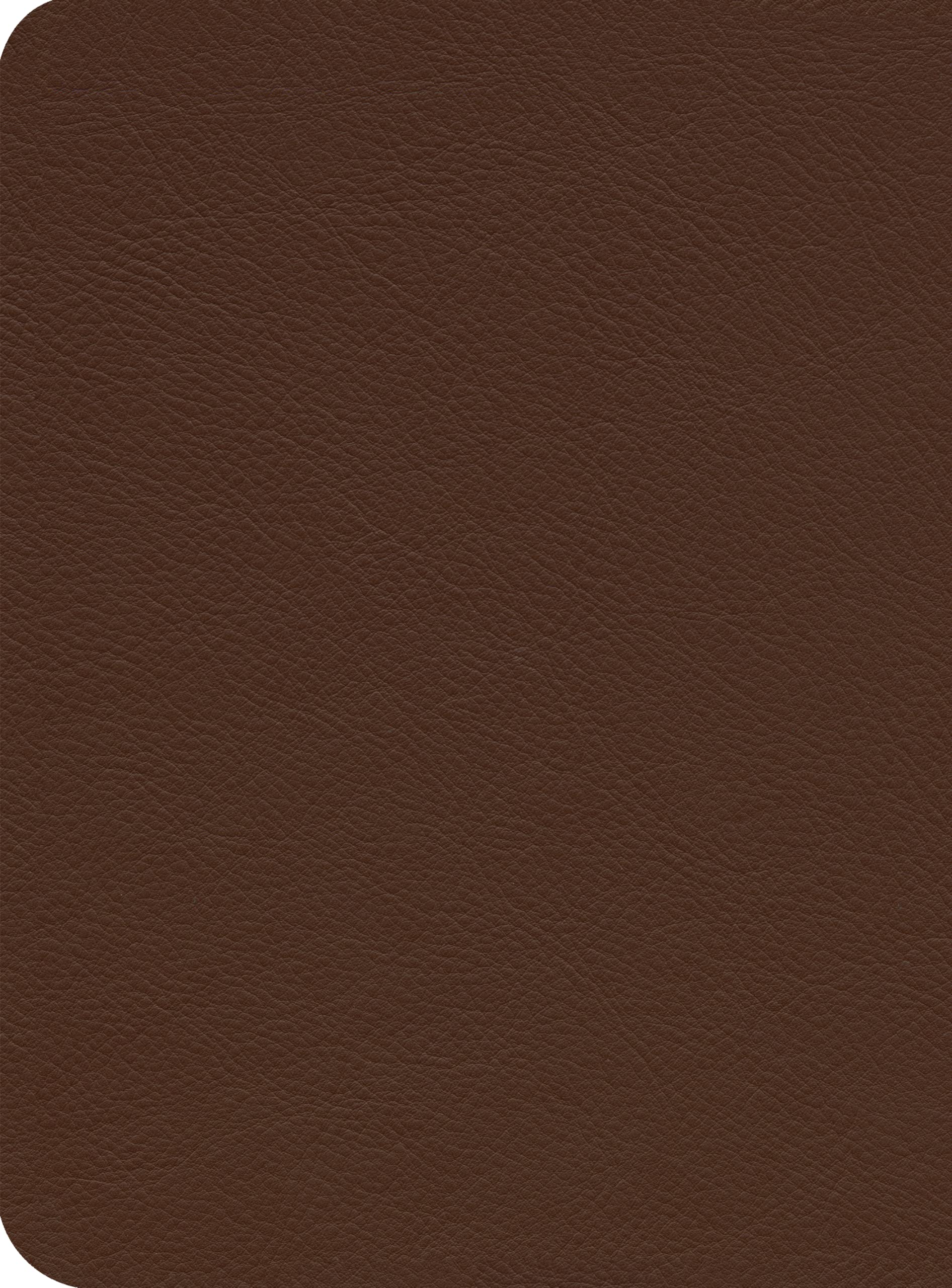 ESV Reformation Study Bible - Genuine Brown Premium Leather Cover - Perfect for Bible Study, Church Services & Christian Devotionals