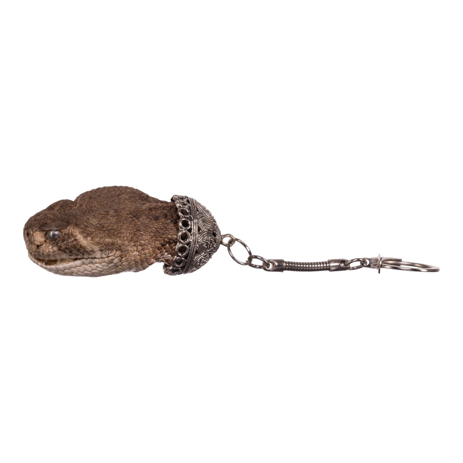 Freeze Dried Rattlesnake Keychain - Unique Reptile Souvenir & Gift for Outdoorsmen, Snake Lovers - Perfect for Hiking, Camping, and Adventure Enthusiasts