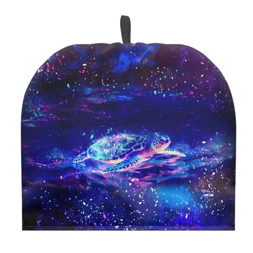 Galaxy Turtle