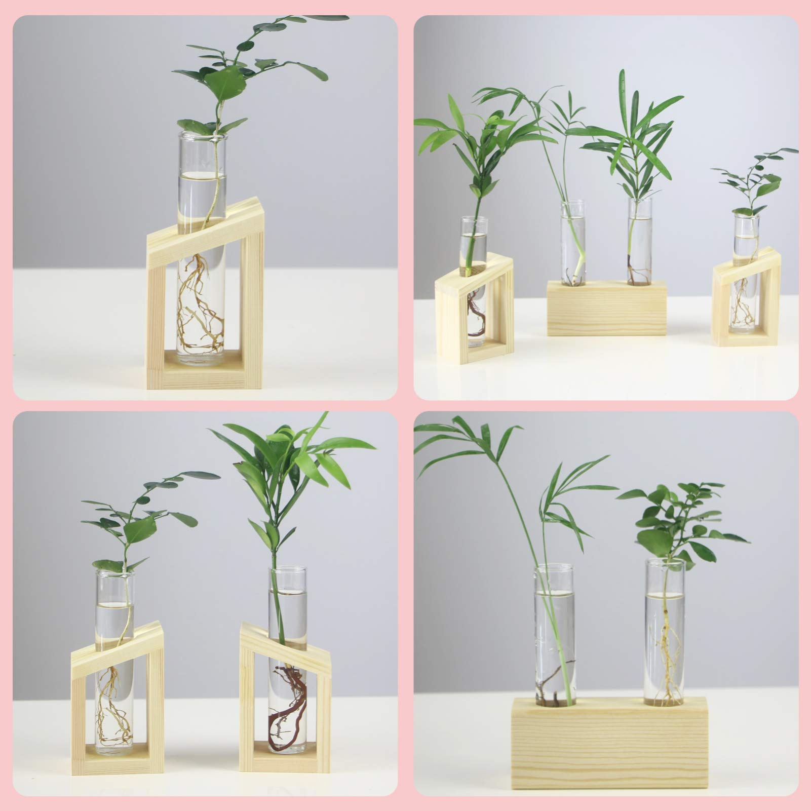 2pcs Glass Test Tube Vase Set - Cabilock Hydroponic Planter for Flowers, Herbs & Succulents | Desktop Water Container with Wood Stand for Home, Office Decor & Plant Propagation