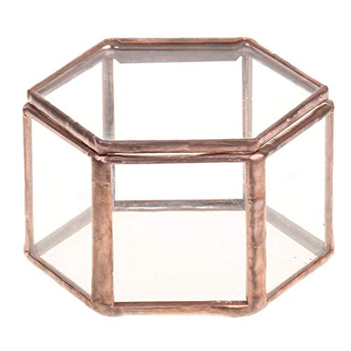 Hexagonal Glass Terrarium Box - Jewelry Display Case, Succulent Planter, Home Decor for Plants & Small Items | Perfect for Wedding Centerpieces, Office Desk Decor, and DIY Craft Projects