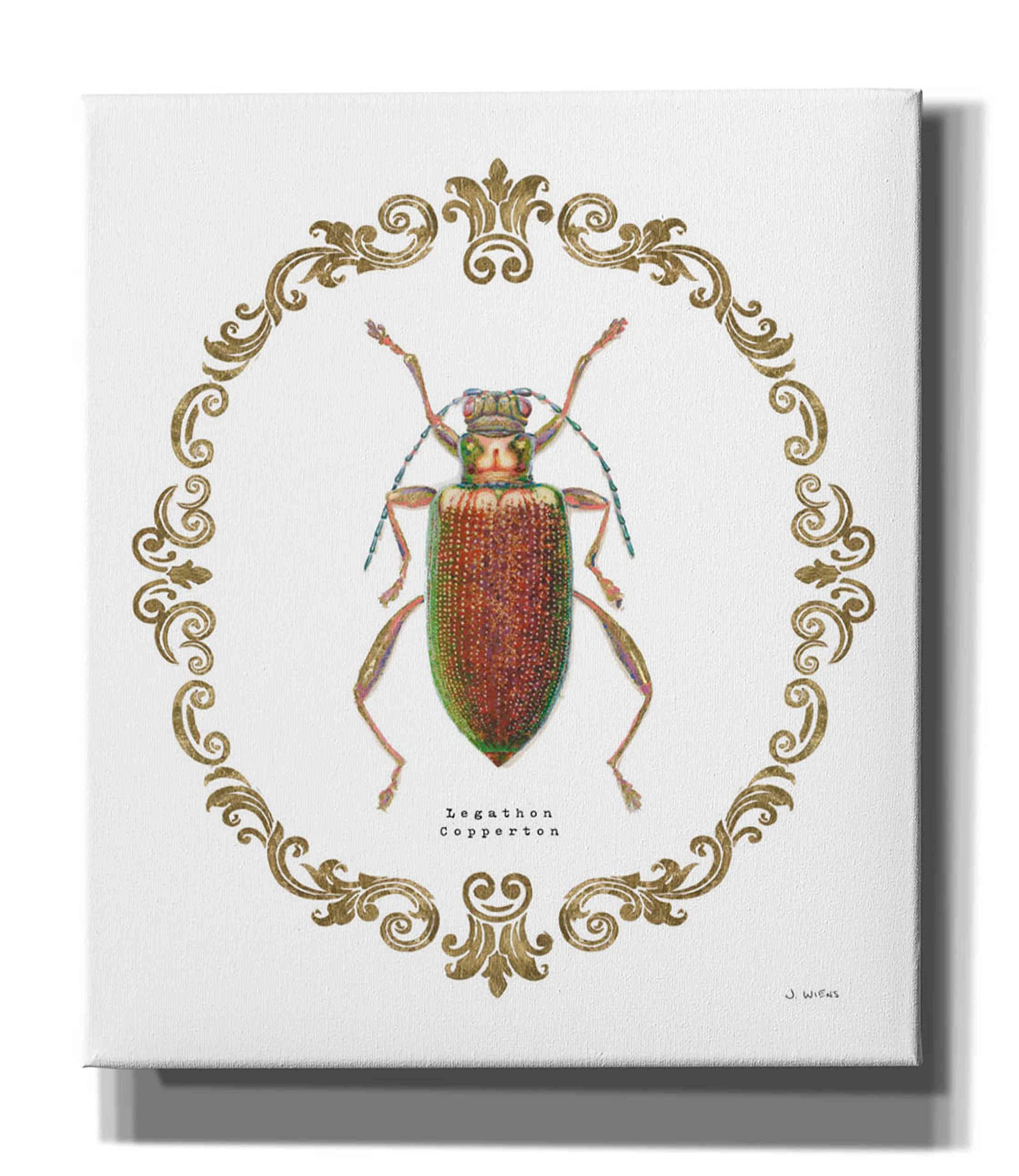 Epic Graffiti 'Adorning Coleoptera VI' by James Wiens - 26x30 Inch Modern Canvas Wall Art for Living Room, Bedroom & Office Decor | Unique Abstract Painting for Home & Office Interior Design