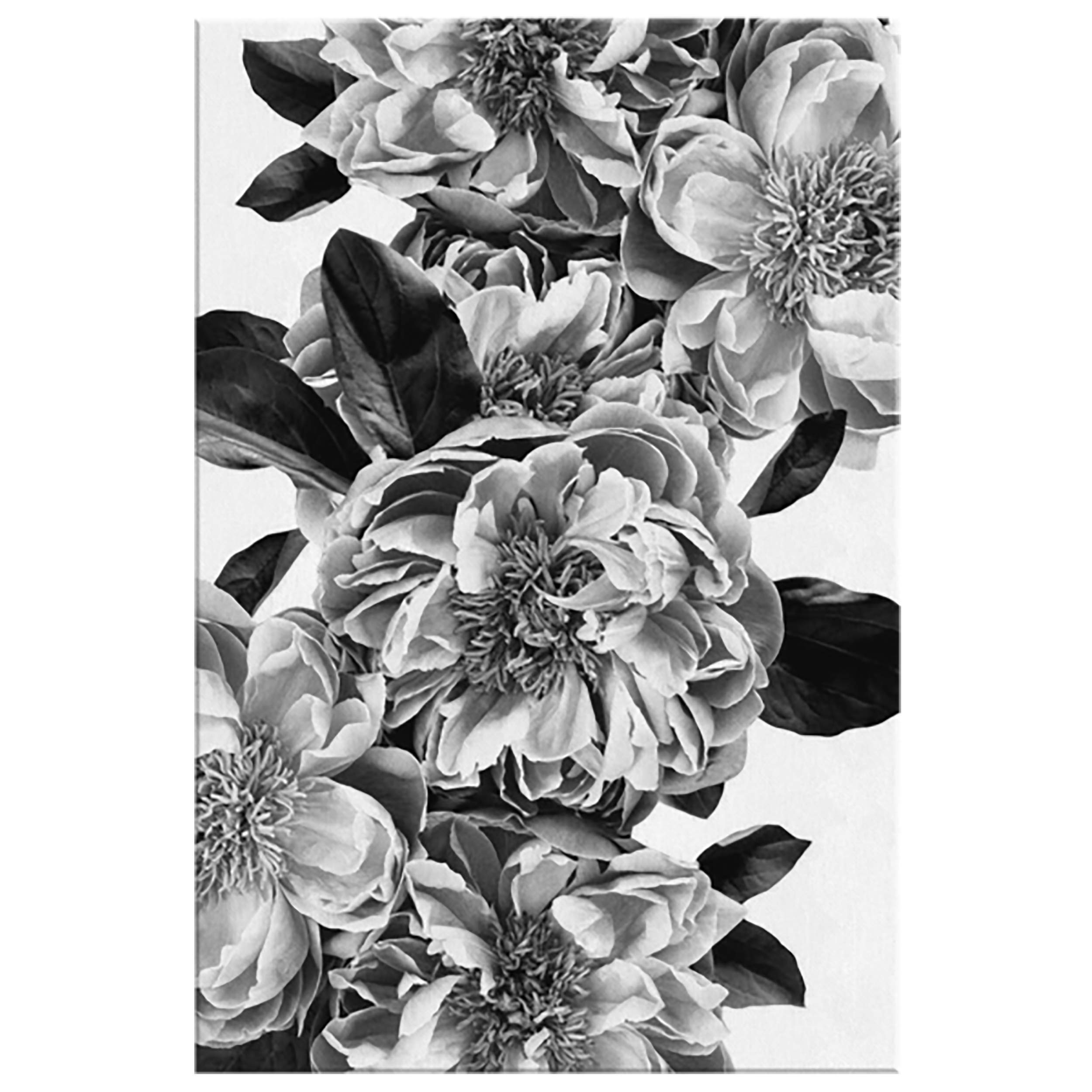 Elegant Black & White Floral Canvas Wall Art - Farmhouse & Shabby Chic Decor for Bedroom, Living Room & Bathroom - 5 Size Options - Perfect for Home, Office & Gift Giving