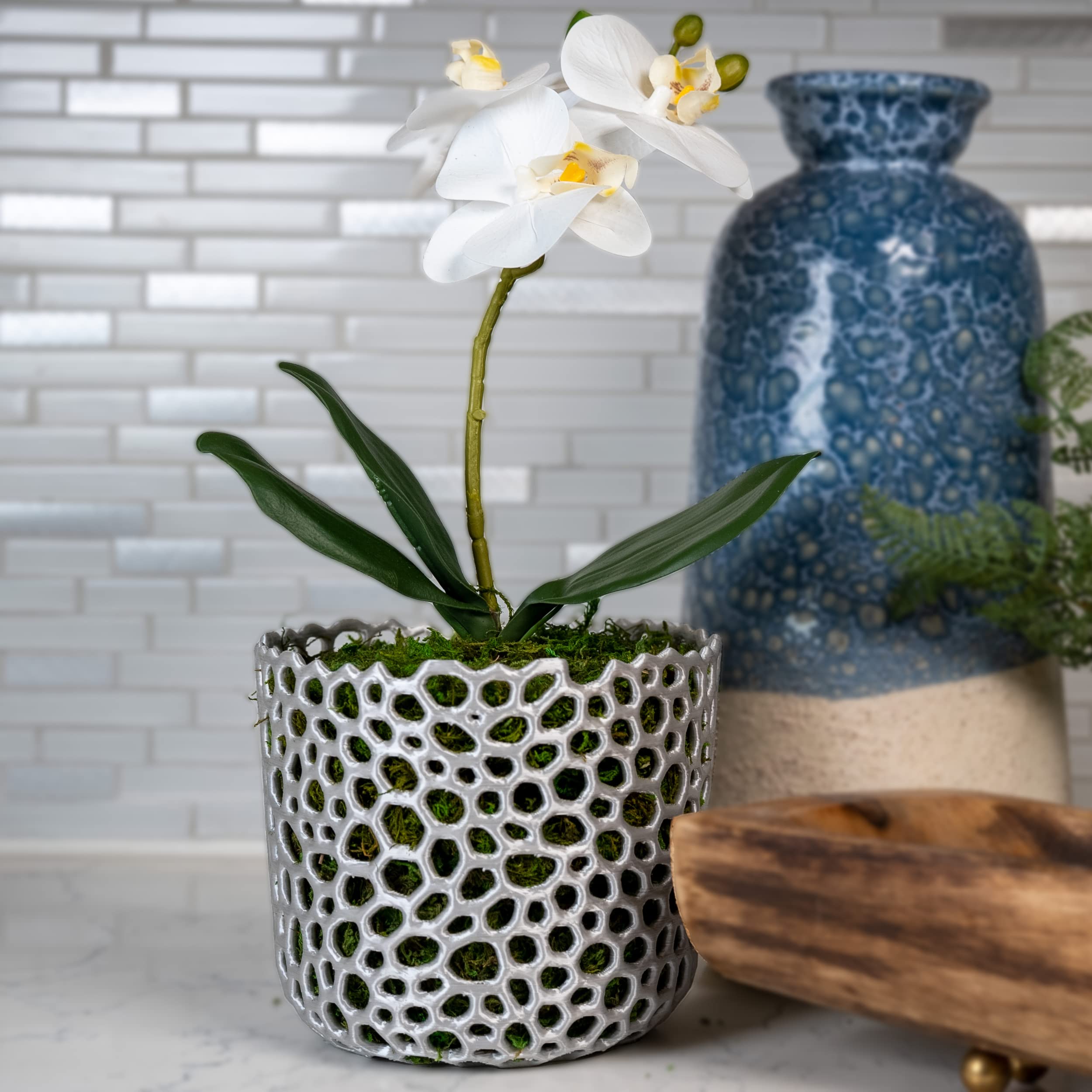 Voronoi Mesh Cylinder Orchid Pot - Breathable White Orchid Planter for Air Plants & Succulents | Perfect for Indoor Gardening, Home Decor, and Office Plants