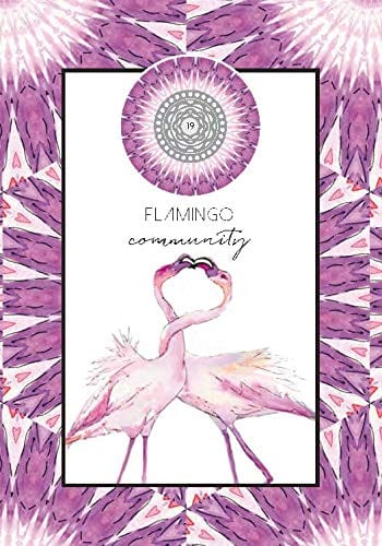 Animal Kin Oracle Cards - Spiritual Guidance & Animal Totem Wisdom for Meditation, Self-Discovery & Healing (Perfect for Tarot Readers, Energy Workers & Holistic Practitioners)