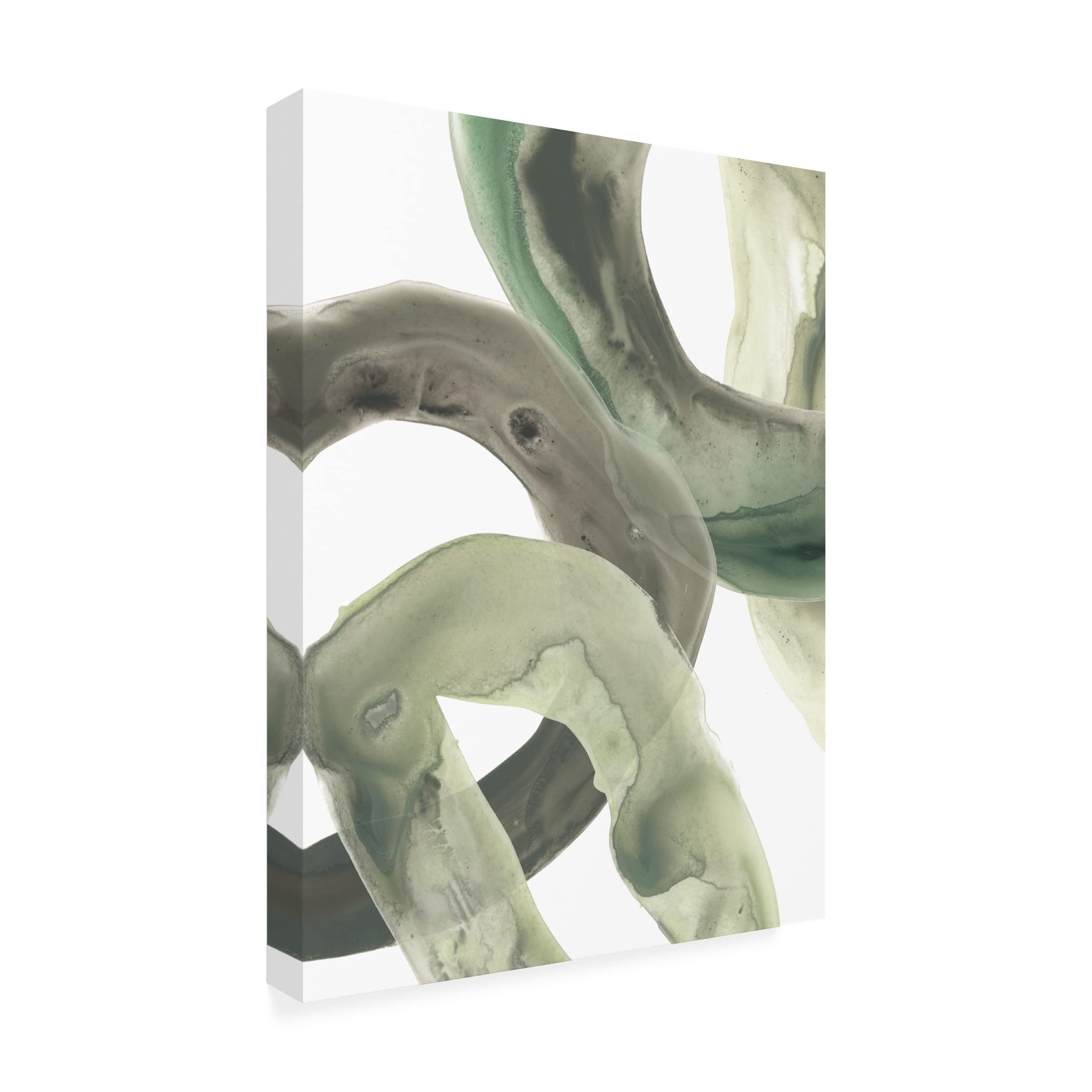 Trademark Fine Art 'Concentric Lichen VI' Canvas Wall Art by June Erica Vess - Modern Abstract Nature Painting for Living Room, Bedroom & Office Decor