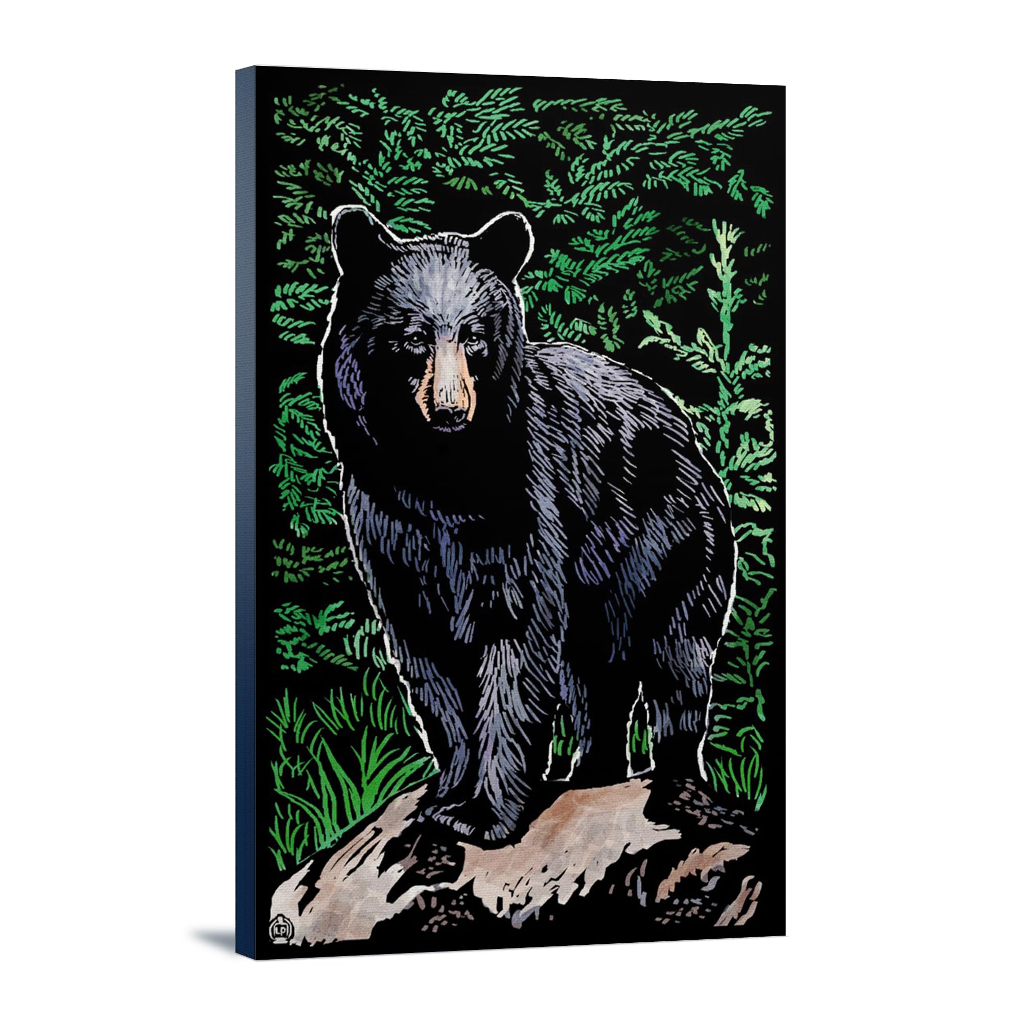 Lantern Press Black Bear Scratchboard Art - 16x24 Wrapped Canvas Wall Decor for Living Room, Bedroom & Office | Nature Wildlife Home Decoration