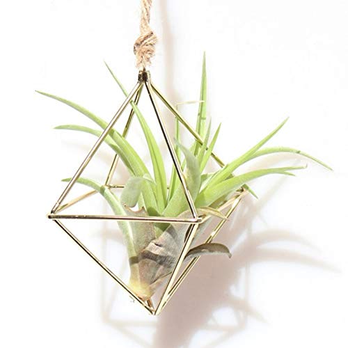 Metal Hanging Flower Basket - Wall Mounted Plant Rack & Decorative Pot Holder for Indoor/Outdoor Plants | Perfect for Balcony, Garden, Patio & Home Decor