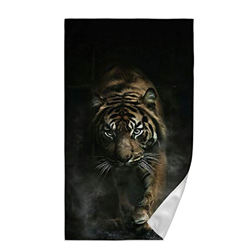 Wildlife Animal Tiger