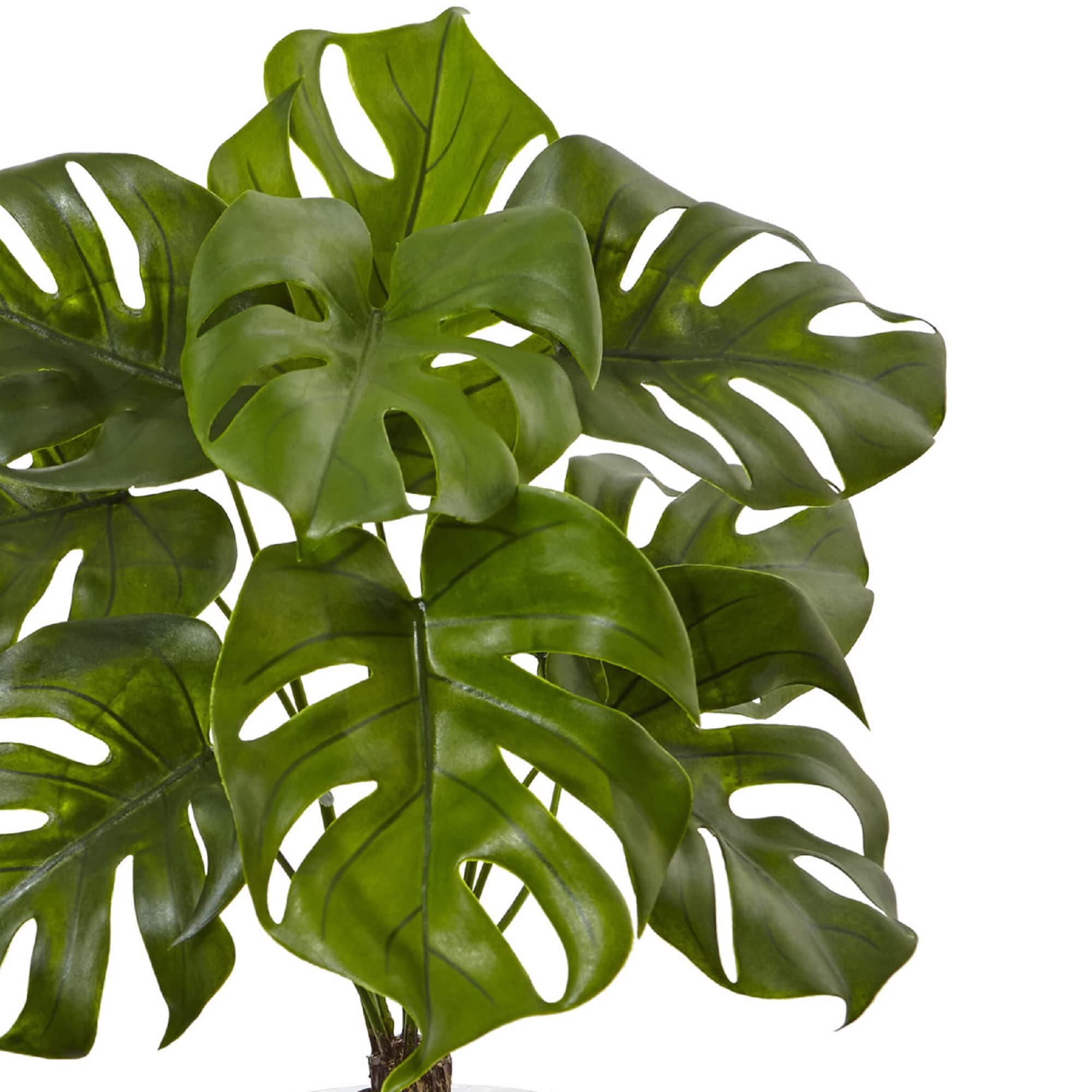 Nearly Natural 26 Inch Artificial Monstera Plant in Decorative Rocks with Glass Vase - Perfect for Home Office Decor, Living Room Centerpiece, and Indoor Greenery Enhancement