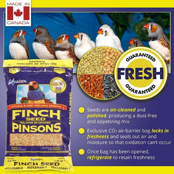 Hagen Finch Staple VME Seed - Premium Quality Seeds for Home Gardening, Planting & Landscaping | Ideal for DIY Garden Projects, Backyard Planting & Urban Farming