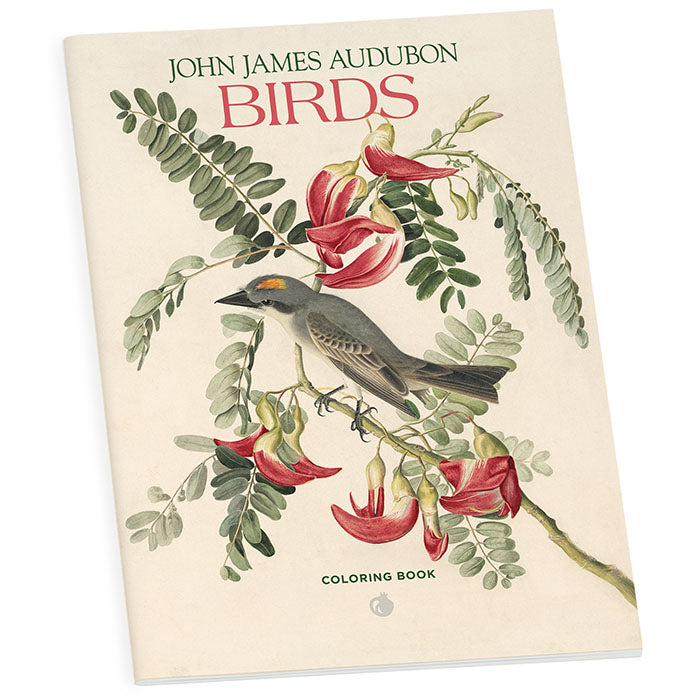 John James Audubon Birds Coloring Book for Adults - Beautiful Bird Illustrations & Relaxing Nature Scenes | Perfect for Stress Relief, Art Therapy & Bird Lovers